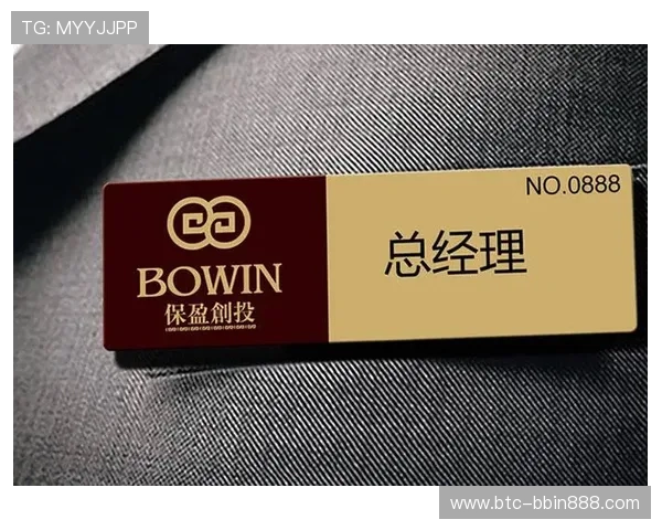 宝盈集团旗下公司在金融投资领域的主要业务与市场布局